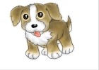 How to Draw Manga Animals