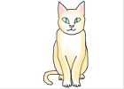 How to Draw a Cat