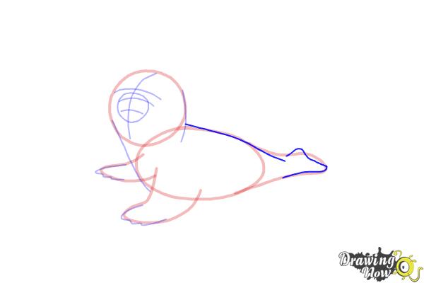 How to Draw a Baby Seal - Step 9
