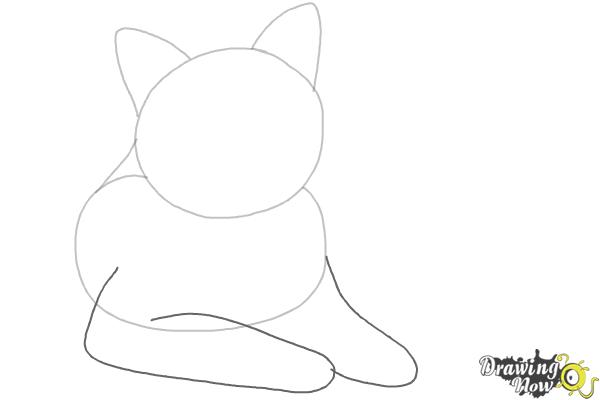 Print Step 3