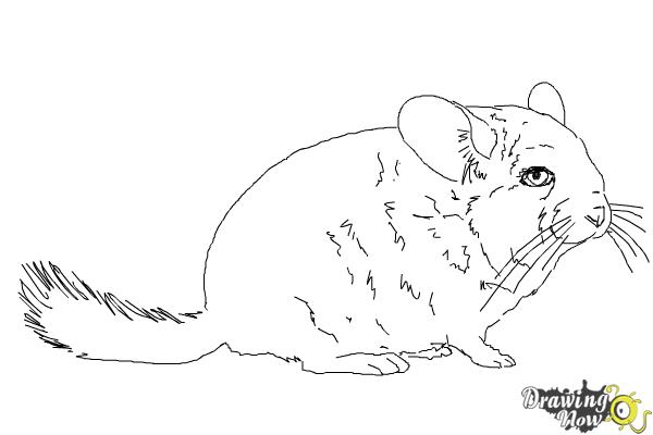 Coloring Page