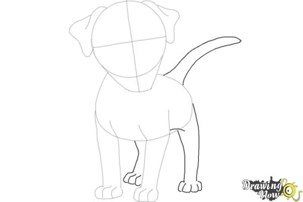 How to Draw a Dog - Step by Step - Step 5