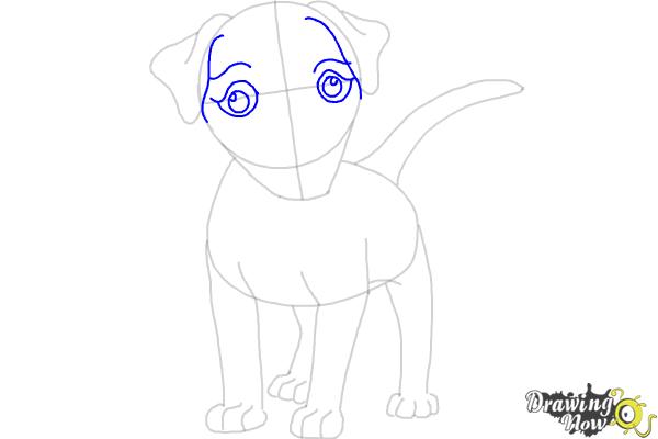 How to Draw a Dog - Step by Step - Step 6