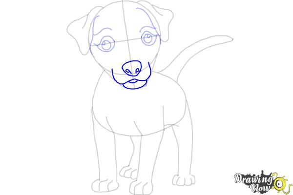 How to Draw a Dog - Step by Step - Step 7