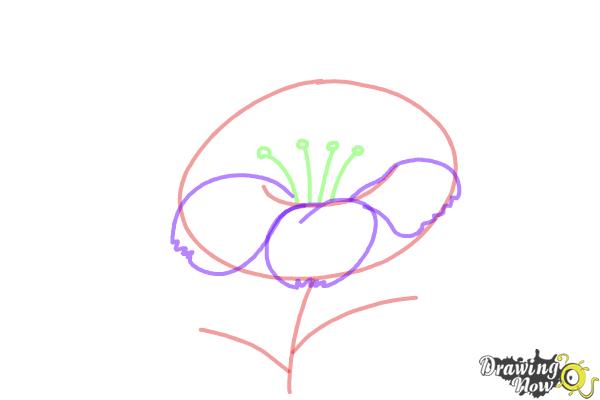 How to Draw a Flower Step by Step - Step 3 How to Draw a Flower Step by Step - Step 3
