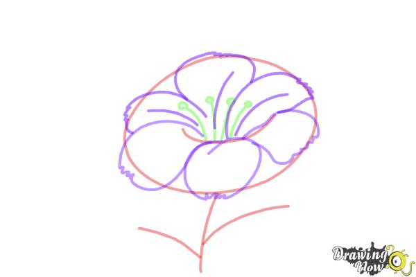 How to Draw a Flower Step by Step - Step 4 How to Draw a Flower Step by Step - Step 4