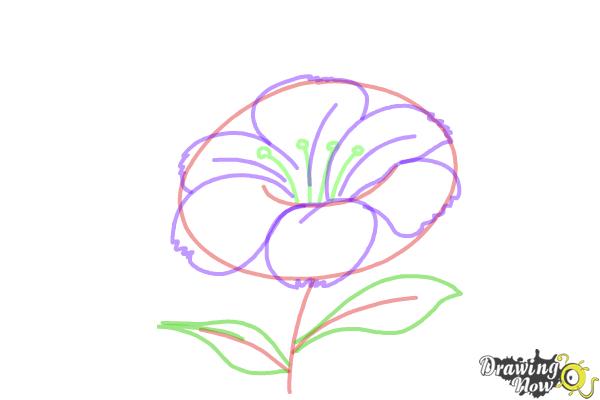 How to Draw a Flower Step by Step - Step 5 How to Draw a Flower Step by Step - Step 5
