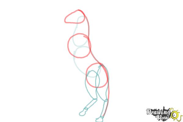 How to Draw a Horse Body - Step 2 How to Draw a Horse Body - Step 2