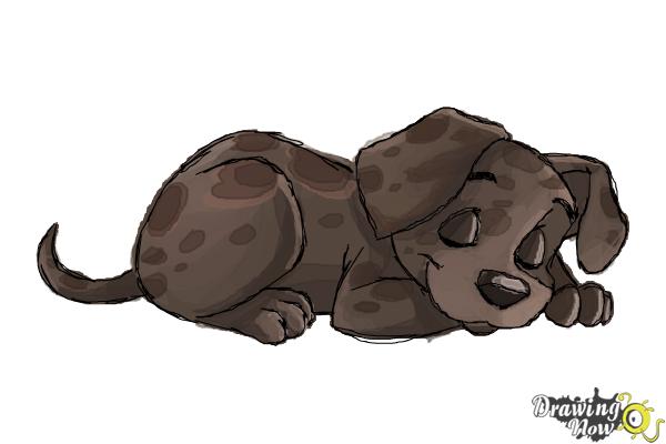 How to Draw a Puppy Step by Step - Step 12 How to Draw a Puppy Step by Step - Step 12