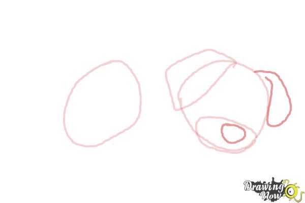 How to Draw a Puppy Step by Step - Step 3 How to Draw a Puppy Step by Step - Step 3