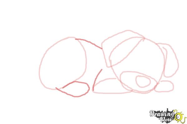 How to Draw a Puppy Step by Step - Step 5 How to Draw a Puppy Step by Step - Step 5