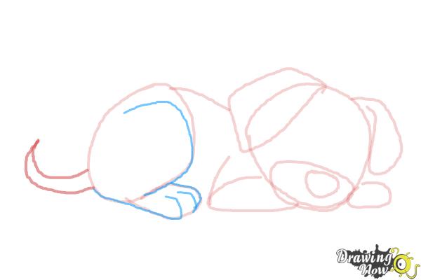 How to Draw a Puppy Step by Step - Step 6 How to Draw a Puppy Step by Step - Step 6