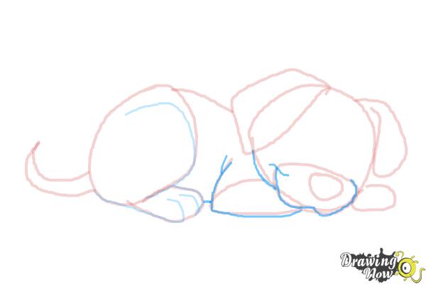 How to Draw a Puppy Step by Step - Step 7 How to Draw a Puppy Step by Step - Step 7
