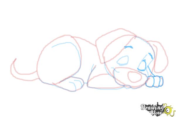 How to Draw a Puppy Step by Step - Step 9 How to Draw a Puppy Step by Step - Step 9