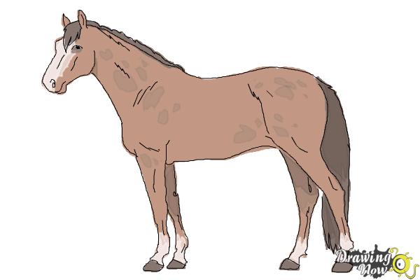 How to Draw a Realistic Horse - Step 10 How to Draw a Realistic Horse - Step 10
