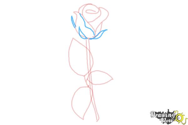 How to Draw a Rose Step by Step for Beginners - Step 6
