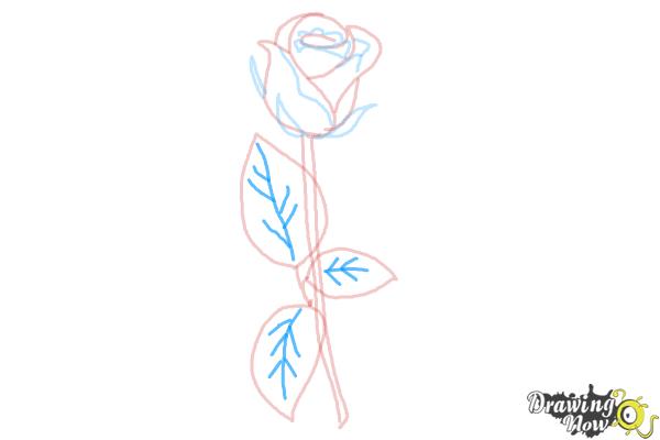 How to Draw a Rose Step by Step for Beginners - Step 8
