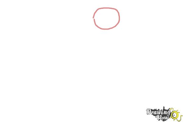 How to Draw a Schnauzer - Step 1 How to Draw a Schnauzer - Step 1