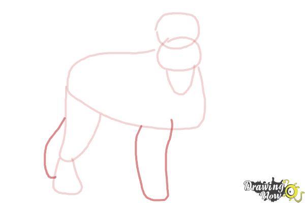 How to Draw a Schnauzer - Step 5 How to Draw a Schnauzer - Step 5