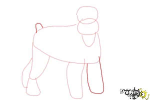 How to Draw a Schnauzer - Step 6 How to Draw a Schnauzer - Step 6