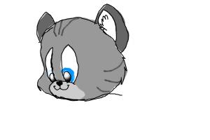 How to draw a simple kitten head.