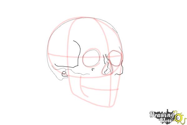 How to Draw a Skull Step by Step - Step 6