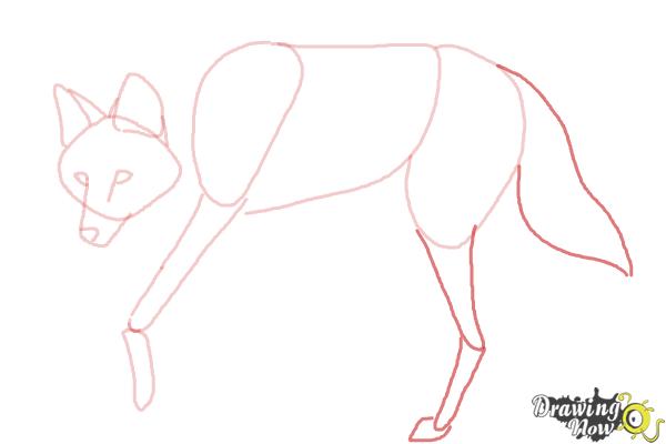 How to Draw a Wolf - Maned Wolf - Step 6 How to Draw a Wolf - Maned Wolf - Step 6