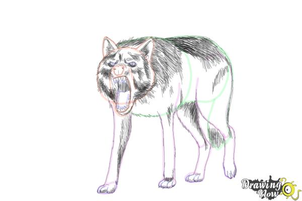 How to Draw a Wolf Step by Step - Step 16