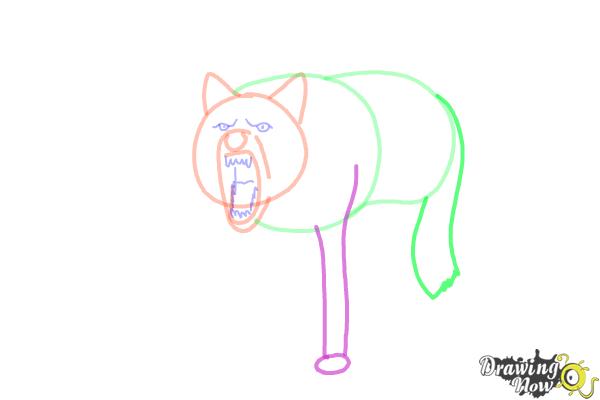 How to Draw a Wolf Step by Step - Step 7