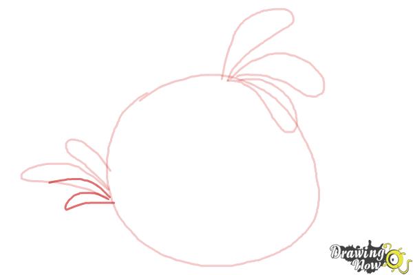 How to Draw Angry Bird Stella, Pink Bird - Step 5