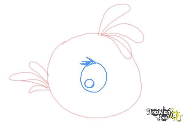 How to Draw Angry Bird Stella, Pink Bird - Step 6