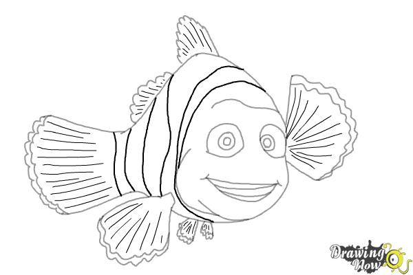 How to Draw Marlin from Finding Dory - Step 9 How to Draw Marlin from Finding Dory - Step 9