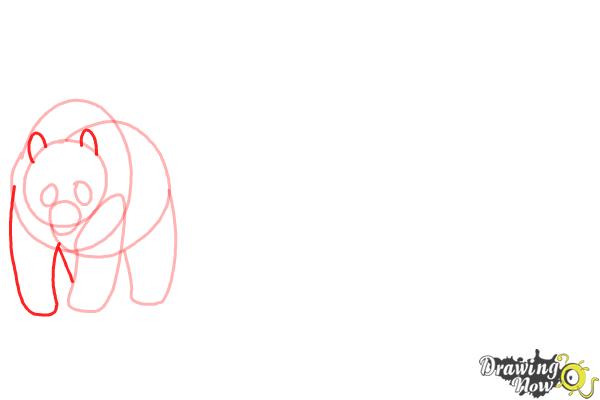 How to Draw Realistic Animals - Step 4 How to Draw Realistic Animals - Step 4