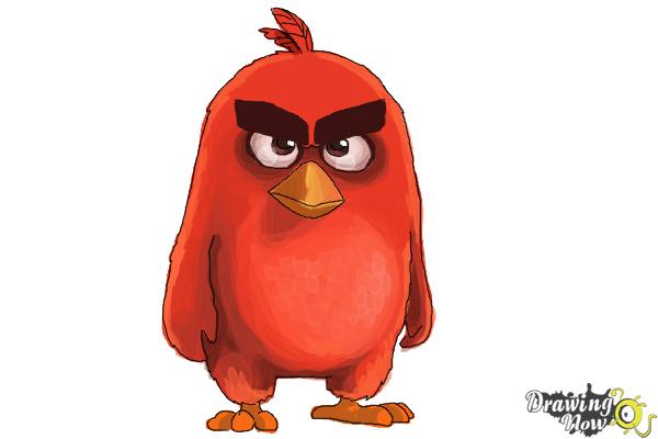 How to Draw Red from The Angry Birds Movie - Step 10 How to Draw Red from The Angry Birds Movie - Step 10