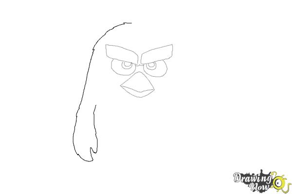 How to Draw Red from The Angry Birds Movie - Step 4 How to Draw Red from The Angry Birds Movie - Step 4