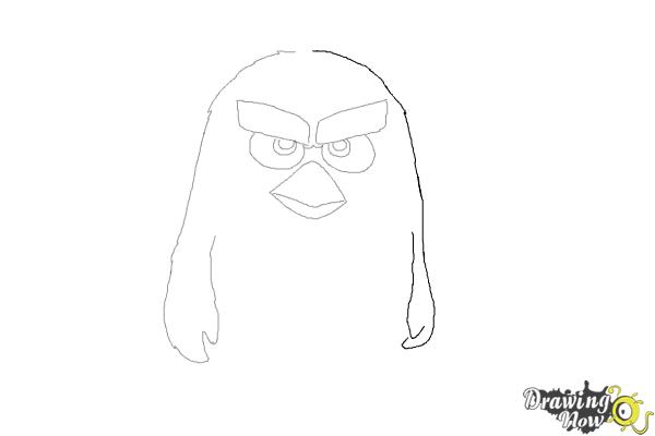 How to Draw Red from The Angry Birds Movie - Step 5 How to Draw Red from The Angry Birds Movie - Step 5