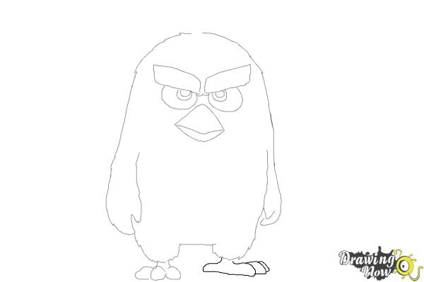 How to Draw Red from The Angry Birds Movie - Step 8 How to Draw Red from The Angry Birds Movie - Step 8