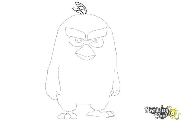 How to Draw Red from The Angry Birds Movie - Step 9 How to Draw Red from The Angry Birds Movie - Step 9