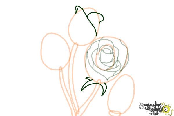 How to Draw Roses Step by Step - Step 9 How to Draw Roses Step by Step - Step 9