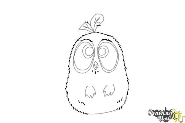 How to Draw The Blues from The Angry Birds Movie - Step 7 How to Draw The Blues from The Angry Birds Movie - Step 7